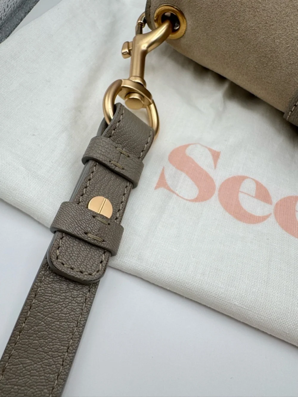 See By Chloé Hana Large Leather Suede Crossbody Bag Motty Grey Gold Hardware